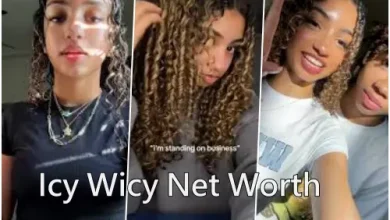 Icy Wicy Net Worth