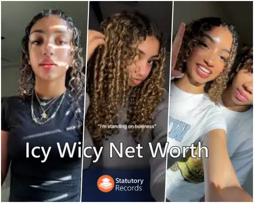 Icy Wicy Net Worth